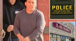 ICE arrests âsickoâ illegal migrant accused of kidnapping 4-year-old girl from Long Island laundromatÂ 